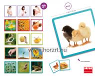 Lottó játék - Négy évszak 24 hó+