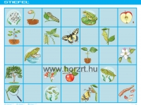 Programozható Robot Egér