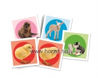 Autószállító kamion 18 hó+