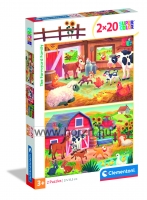 Szivárvány madarak