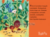 Diafilm - Öreg néne őzikéje