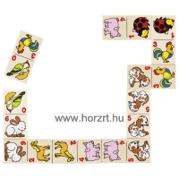 Szivárvány madarak