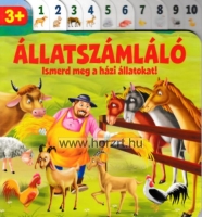 DVD 6: Differenciált, személyes bánásmód