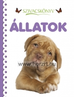 Kösd meg a cipőd! - lapozó