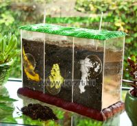 HOLZTIGER Állatfigura, csibe