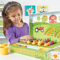 Maxi memória - Gerinces állatok és csontvázaik