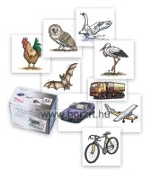 Fejlesztő kártyák - Ismerkedés az állatokkal