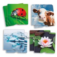 Érzékelős és tapintós Maxi memória - Környezetünk