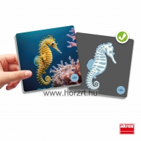 Maxi memória - Gerinces állatok és csontvázaik