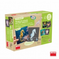 Maxi memória - Gerinces állatok és csontvázaik