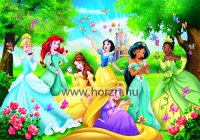 Puzzle 60 darabos maxi - Hercegnők