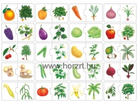 Mi fán terem? - párosító játék