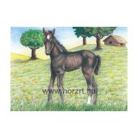 Kocka puzzle, farm