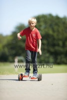 Go Go roller - Gonge