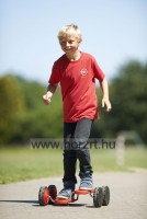 Go Go roller - Gonge