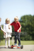 Go Go roller - Gonge