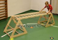 RillaGym - Többfunkciós mászókészlet  L 