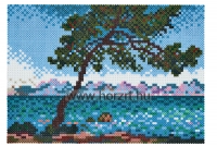 Hama MIDI ART-Claude Monet - DIY