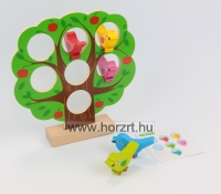 Szivárvány madarak