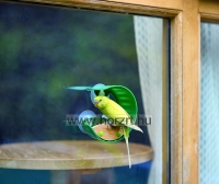 Hape Madáretető ablakra