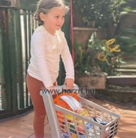 Klein Shopping Center bevásárló kocsi