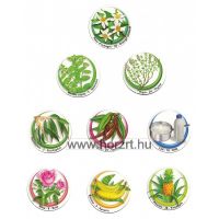 Ízlottó - Fedezd fel az ízeket!