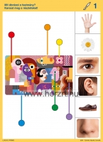 Logico Primo-Színek, képek, formák