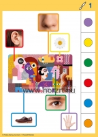 Logico Primo-Színek, képek, formák