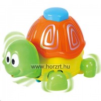 Kúszómászó teknős 12 hó+