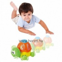 Kúszómászó teknős 12 hó+