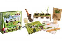 Zöld gyár - Növénytani labor